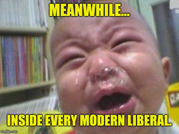 Funny crying baby! | MEANWHILE... INSIDE EVERY MODERN LIBERAL. | image tagged in funny crying baby | made w/ Imgflip meme maker