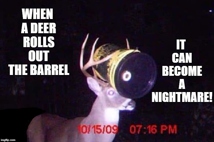 Why Deer Shouldn't Drink | IT CAN BECOME A NIGHTMARE! WHEN A DEER ROLLS OUT THE BARREL | image tagged in vince vance,deer,buck,doe,white 5 gallon plastic pail,plastic bucket caught in deer's antlers | made w/ Imgflip meme maker