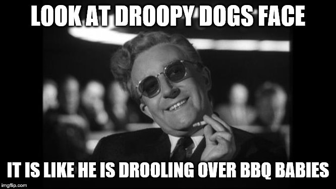 dr strangelove | LOOK AT DROOPY DOGS FACE IT IS LIKE HE IS DROOLING OVER BBQ BABIES | image tagged in dr strangelove | made w/ Imgflip meme maker