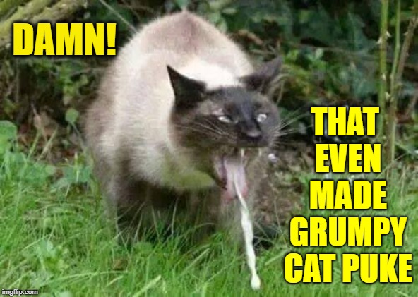 DAMN! THAT EVEN MADE GRUMPY CAT PUKE | made w/ Imgflip meme maker