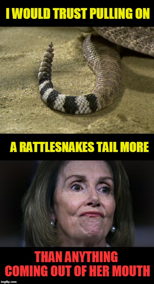 Don't trust either | I WOULD TRUST PULLING ON; A RATTLESNAKES TAIL MORE; THAN ANYTHING COMING OUT OF HER MOUTH | image tagged in pelosi with gas,rattlesnake | made w/ Imgflip meme maker