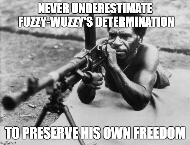 NEVER UNDERESTIMATE FUZZY-WUZZY'S DETERMINATION; TO PRESERVE HIS OWN FREEDOM | image tagged in politics | made w/ Imgflip meme maker