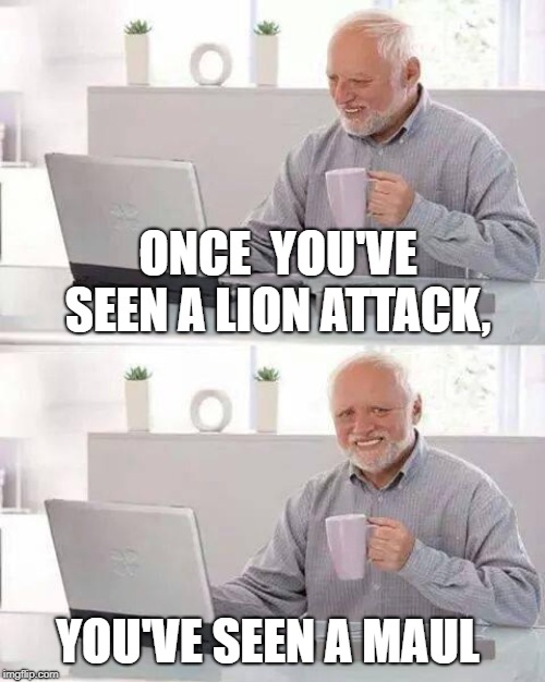 Hide the Pain Harold Meme | ONCE  YOU'VE SEEN A LION ATTACK, YOU'VE SEEN A MAUL | image tagged in memes,hide the pain harold | made w/ Imgflip meme maker