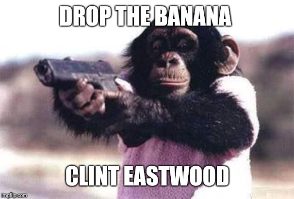 monkey gun | DROP THE BANANA; CLINT EASTWOOD | image tagged in monkey gun | made w/ Imgflip meme maker