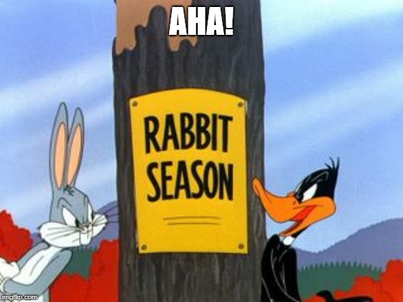 Rabbit Season | AHA! | image tagged in rabbit season | made w/ Imgflip meme maker