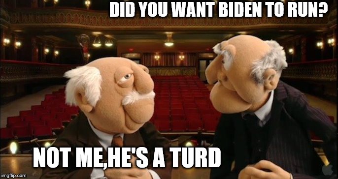 DID YOU WANT BIDEN TO RUN? NOT ME,HE'S A TURD | made w/ Imgflip meme maker