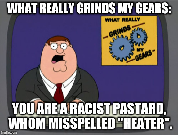 Peter Griffin News Meme | WHAT REALLY GRINDS MY GEARS: YOU ARE A RACIST PASTARD, WHOM MISSPELLED "HEATER". | image tagged in memes,peter griffin news | made w/ Imgflip meme maker