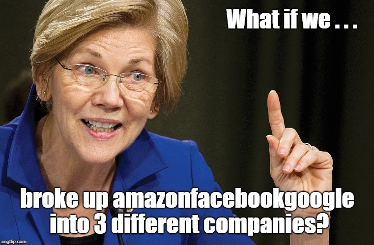 Crazy Liz Warren . . . and old white woman | What if we . . . broke up amazonfacebookgoogle into 3 different companies? | image tagged in amazon,facebook,google,elizabeth warren | made w/ Imgflip meme maker
