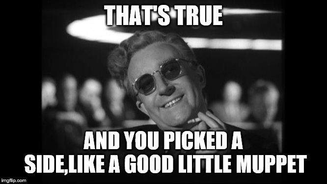 dr strangelove | THAT'S TRUE AND YOU PICKED A SIDE,LIKE A GOOD LITTLE MUPPET | image tagged in dr strangelove | made w/ Imgflip meme maker