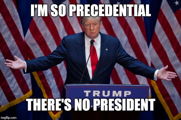 Donald Trump | I'M SO PRECEDENTIAL THERE'S NO PRESIDENT | image tagged in donald trump | made w/ Imgflip meme maker
