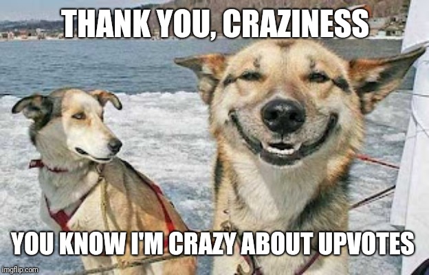 Original Stoner Dog Meme | THANK YOU, CRAZINESS YOU KNOW I'M CRAZY ABOUT UPVOTES | image tagged in memes,original stoner dog | made w/ Imgflip meme maker