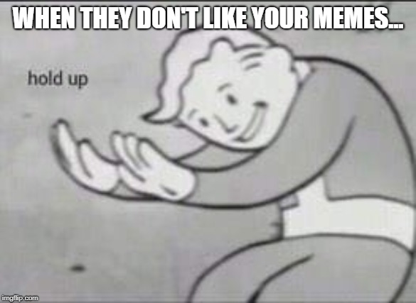 Fallout Hold Up | WHEN THEY DON'T LIKE YOUR MEMES... | image tagged in fallout hold up | made w/ Imgflip meme maker
