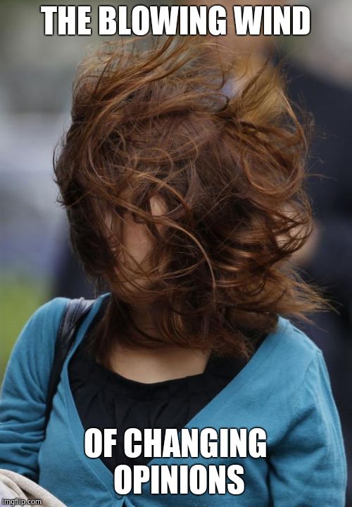 hair wind girl windy | THE BLOWING WIND OF CHANGING OPINIONS | image tagged in hair wind girl windy | made w/ Imgflip meme maker