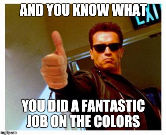 terminator thumbs up | AND YOU KNOW WHAT YOU DID A FANTASTIC JOB ON THE COLORS | image tagged in terminator thumbs up | made w/ Imgflip meme maker