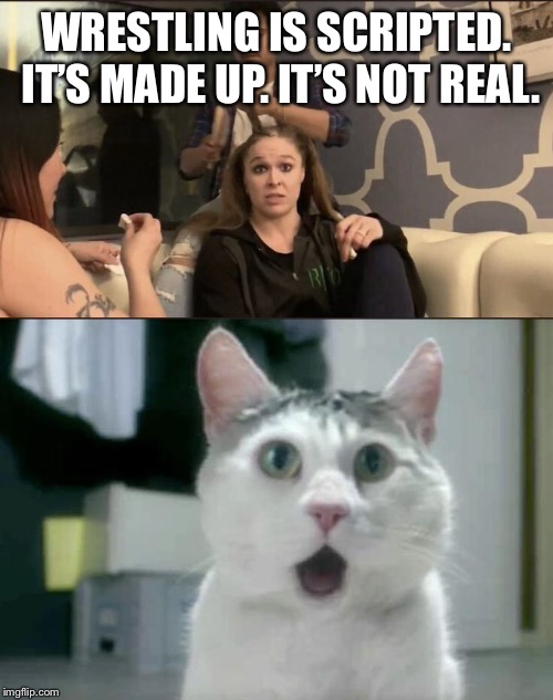 Wrestling isn’t real? | WRESTLING IS SCRIPTED. IT’S MADE UP. IT’S NOT REAL. | image tagged in memes,omg cat,ronda rousey,wwe,wrestling | made w/ Imgflip meme maker