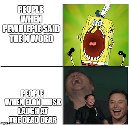 2017 people vs 2019 people | PEOPLE WHEN PEWDIEPIE SAID THE N WORD; PEOPLE WHEN ELON MUSK LAUGH AT THE DEAD DEAR | image tagged in elon musk | made w/ Imgflip meme maker