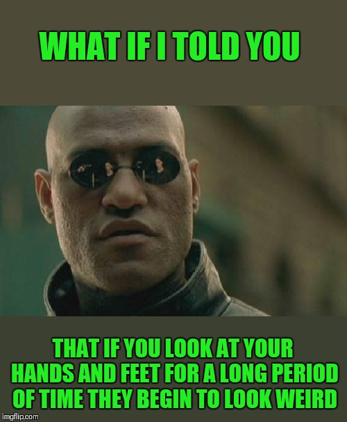 Don't take my word for it, see for yourself! Lol | WHAT IF I TOLD YOU; THAT IF YOU LOOK AT YOUR HANDS AND FEET FOR A LONG PERIOD OF TIME THEY BEGIN TO LOOK WEIRD | image tagged in memes,matrix morpheus,hands,feet,funny | made w/ Imgflip meme maker