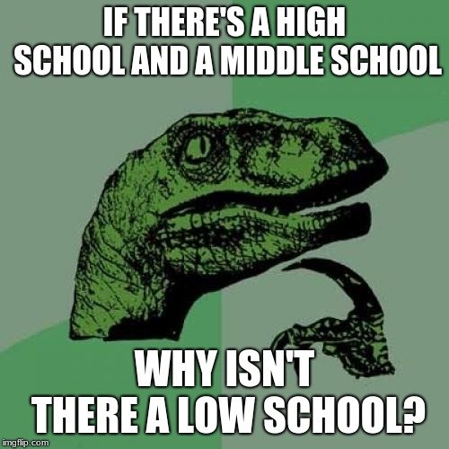 Philosoraptor Meme |  IF THERE'S A HIGH SCHOOL AND A MIDDLE SCHOOL; WHY ISN'T THERE A LOW SCHOOL? | image tagged in memes,philosoraptor | made w/ Imgflip meme maker