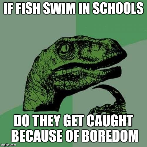 Philosoraptor | IF FISH SWIM IN SCHOOLS; DO THEY GET CAUGHT BECAUSE OF BOREDOM | image tagged in memes,philosoraptor | made w/ Imgflip meme maker