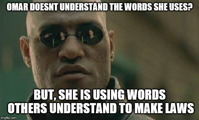 Matrix Morpheus | OMAR DOESNT UNDERSTAND THE WORDS SHE USES? BUT, SHE IS USING WORDS OTHERS UNDERSTAND TO MAKE LAWS | image tagged in memes,matrix morpheus | made w/ Imgflip meme maker