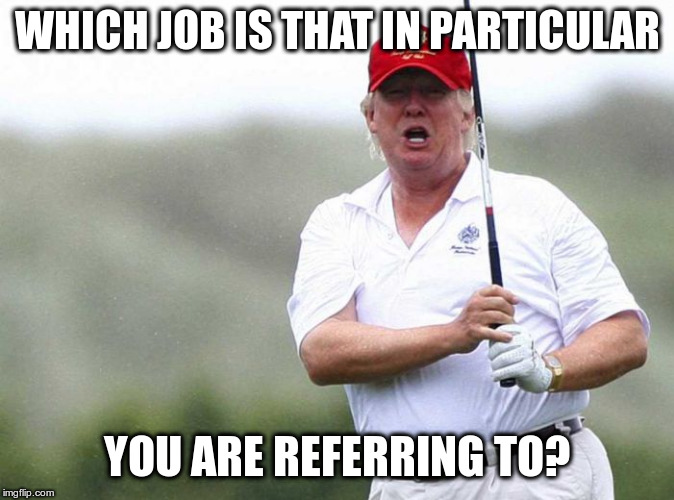 Trump Golfing | WHICH JOB IS THAT IN PARTICULAR YOU ARE REFERRING TO? | image tagged in trump golfing | made w/ Imgflip meme maker