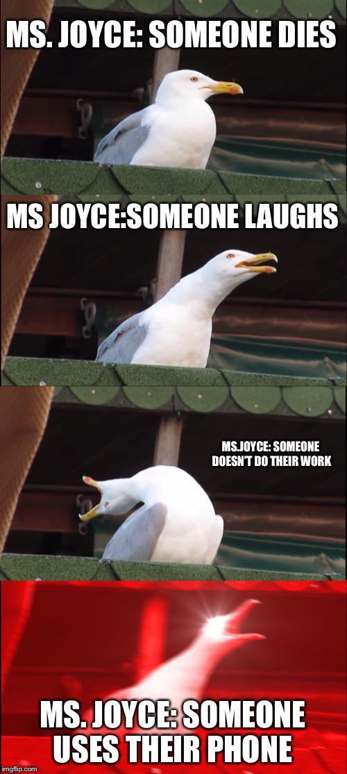 Inhaling Seagull Meme | MS. JOYCE: SOMEONE DIES; MS JOYCE:SOMEONE LAUGHS; MS.JOYCE: SOMEONE DOESN’T DO THEIR WORK; MS. JOYCE: SOMEONE USES THEIR PHONE | image tagged in memes,inhaling seagull | made w/ Imgflip meme maker