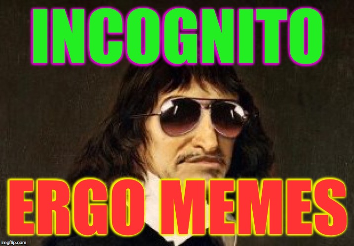 Incognito ergo memes | INCOGNITO; ERGO MEMES | image tagged in descartes,memes,incognito ergo memes,heavencanwait,incognito | made w/ Imgflip meme maker