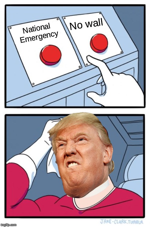 Two Buttons Meme | No wall; National Emergency | image tagged in memes,two buttons | made w/ Imgflip meme maker