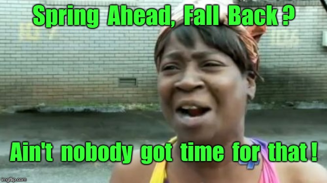 Ain't Nobody Got Time For That | Spring  Ahead,  Fall  Back ? Ain't  nobody  got  time  for  that ! | image tagged in aint nobody got time for that,funny memes,rick75230,daylight savings time | made w/ Imgflip meme maker