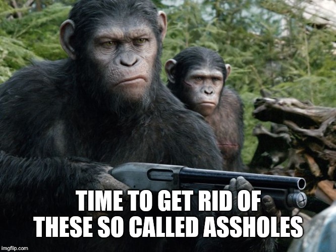 Angry Monkey | TIME TO GET RID OF THESE SO CALLED ASSHOLES | image tagged in angry monkey | made w/ Imgflip meme maker