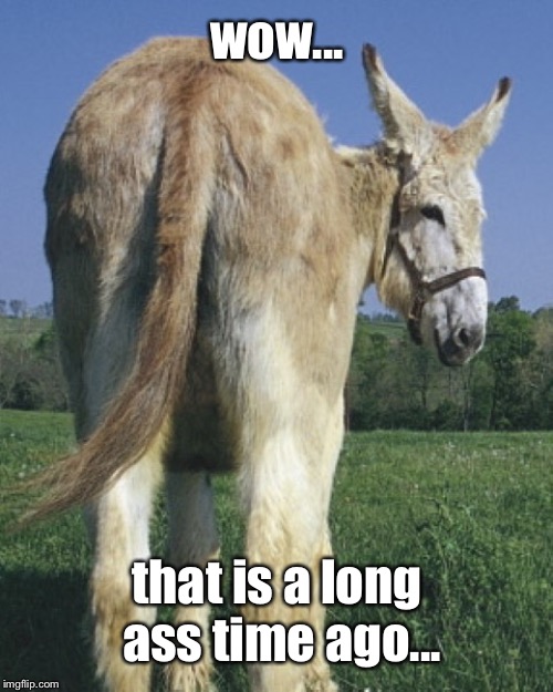 donkey ass | wow... that is a long ass time ago... | image tagged in donkey ass | made w/ Imgflip meme maker