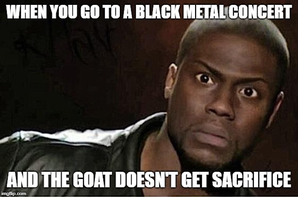 One Lucky goat! | WHEN YOU GO TO A BLACK METAL CONCERT; AND THE GOAT DOESN'T GET SACRIFICE | image tagged in memes,kevin hart,funny,secret tag,black metal,goats | made w/ Imgflip meme maker