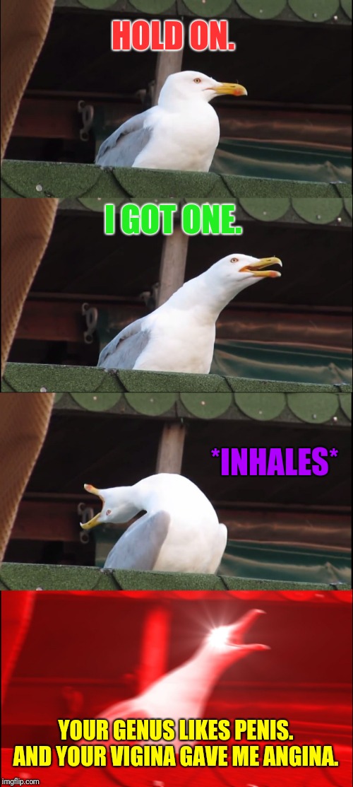 Inhaling Seagull Meme | HOLD ON. I GOT ONE. *INHALES* YOUR GENUS LIKES P**IS. AND YOUR VIGINA GAVE ME ANGINA. | image tagged in memes,inhaling seagull | made w/ Imgflip meme maker