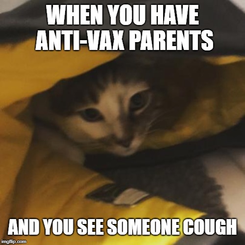 The Suffering Life of An Anti-Vax Kid | WHEN YOU HAVE ANTI-VAX PARENTS; AND YOU SEE SOMEONE COUGH | image tagged in cats,anti vax,mental health | made w/ Imgflip meme maker