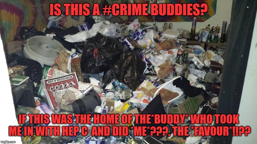 Hoardy Mess Mess 1 | IS THIS A #CRIME BUDDIES? IF THIS WAS THE HOME OF THE*BUDDY* WHO TOOK ME IN WITH HEP C  AND DID *ME*???, THE *FAVOUR*!!?? | image tagged in hoardy mess mess 1 | made w/ Imgflip meme maker
