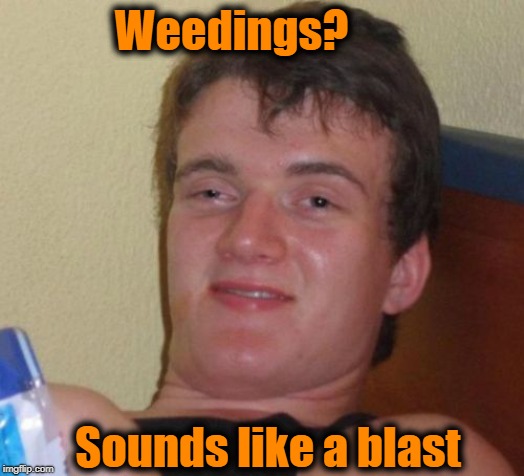 10 Guy Meme | Weedings? Sounds like a blast | image tagged in memes,10 guy | made w/ Imgflip meme maker