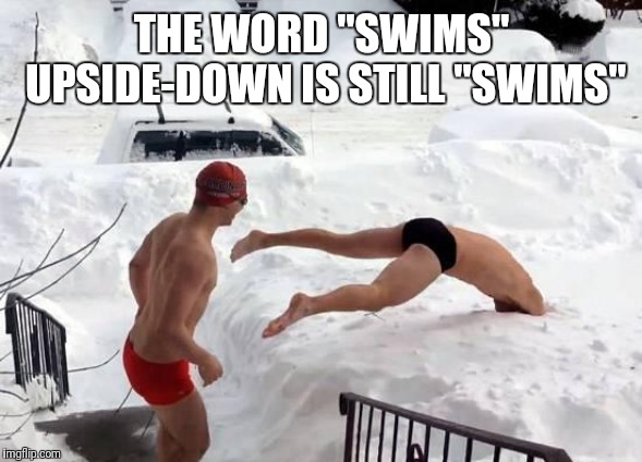 snow swimming | THE WORD "SWIMS" UPSIDE-DOWN IS STILL "SWIMS" | image tagged in snow swimming | made w/ Imgflip meme maker
