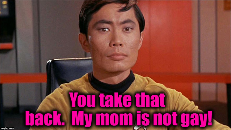 You take that back.  My mom is not gay! | made w/ Imgflip meme maker