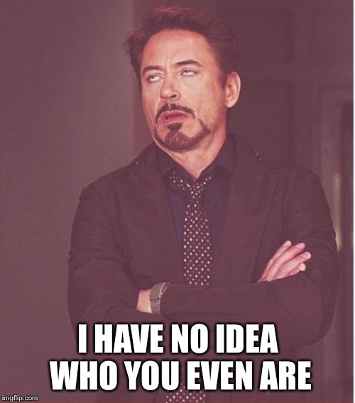 Face You Make Robert Downey Jr Meme | I HAVE NO IDEA WHO YOU EVEN ARE | image tagged in memes,face you make robert downey jr | made w/ Imgflip meme maker