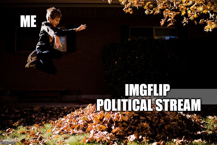 am I the only one who enjoys doing this? | ME; IMGFLIP POLITICAL STREAM | image tagged in funny,fun,playing,youguysrocks | made w/ Imgflip meme maker
