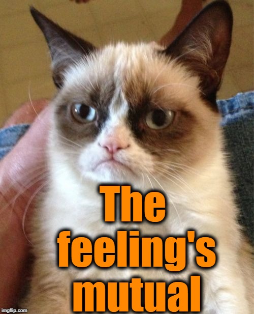 Grumpy Cat Meme | The feeling's mutual | image tagged in memes,grumpy cat | made w/ Imgflip meme maker