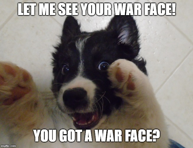 LET ME SEE YOUR WAR FACE! YOU GOT A WAR FACE? | image tagged in olive's warface | made w/ Imgflip meme maker