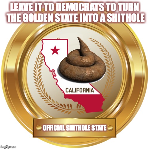 California the Shithole State |  LEAVE IT TO DEMOCRATS TO TURN THE GOLDEN STATE INTO A SHITHOLE; OFFICIAL SHITHOLE STATE | image tagged in democrat policy,poverty,despair,homelessness | made w/ Imgflip meme maker