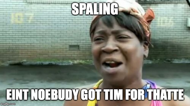 Ain't Nobody Got Time For That | SPALING; EINT NOEBUDY GOT TIM FOR THATTE | image tagged in memes,aint nobody got time for that | made w/ Imgflip meme maker