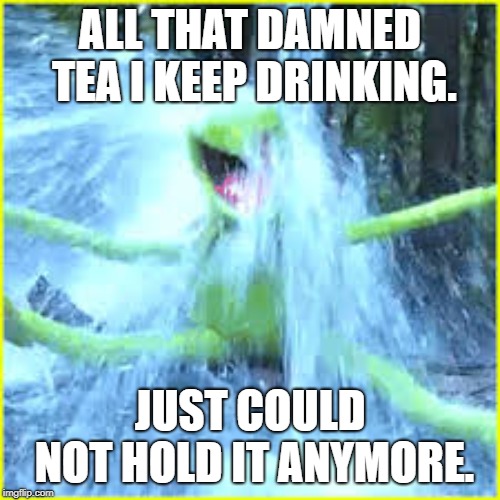 kermit tea | ALL THAT DAMNED TEA I KEEP DRINKING. JUST COULD NOT HOLD IT ANYMORE. | image tagged in pee,kermit the frog,wet,kermit tea | made w/ Imgflip meme maker