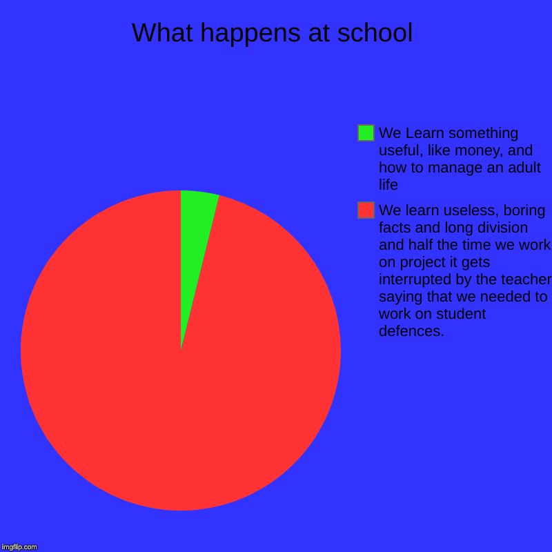 What happens at school | We learn useless, boring facts and long division and half the time we work on project it gets interrupted by the te | image tagged in charts,pie charts | made w/ Imgflip chart maker