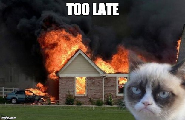 Burn Kitty Meme | TOO LATE | image tagged in memes,burn kitty,grumpy cat | made w/ Imgflip meme maker