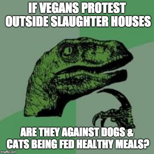 Time raptor  | IF VEGANS PROTEST OUTSIDE SLAUGHTER HOUSES; ARE THEY AGAINST DOGS & CATS BEING FED HEALTHY MEALS? | image tagged in time raptor | made w/ Imgflip meme maker