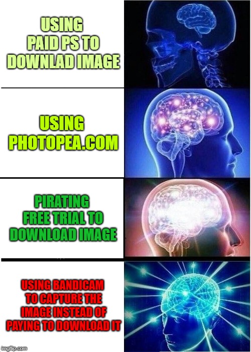 Expanding Brain | USING PAID PS TO DOWNLAD IMAGE; USING PHOTOPEA.COM; PIRATING FREE TRIAL TO DOWNLOAD IMAGE; USING BANDICAM TO CAPTURE THE IMAGE INSTEAD OF PAYING TO DOWNLOAD IT | image tagged in memes,expanding brain | made w/ Imgflip meme maker