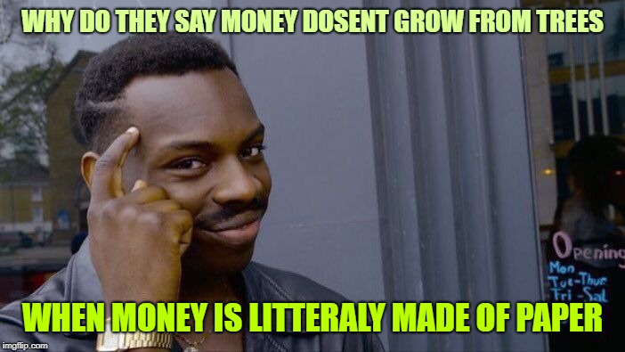 Roll Safe Think About It | WHY DO THEY SAY MONEY DOSENT GROW FROM TREES; WHEN MONEY IS LITTERALY MADE OF PAPER | image tagged in memes,roll safe think about it | made w/ Imgflip meme maker